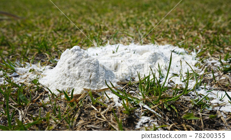 Lime that fell to the ground <02> 78200355