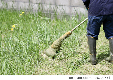 The feet of a middle-aged woman mowing the garden with a household electric grass cutter 78200631