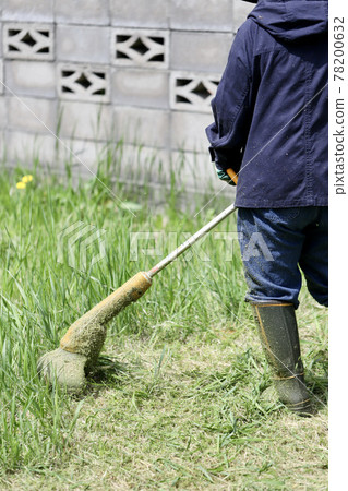 A middle-aged woman mowing the garden with a household electric lawnmower A middle-aged woman mowing the garden with a household electric lawnmower 78200632