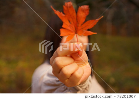 我發現了秋天的落葉 78201007