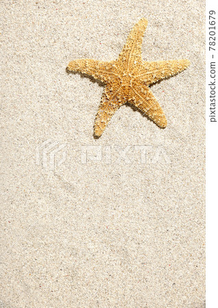 海星 78201679