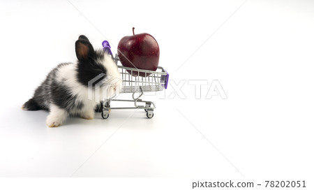 Adorable young bunny sitting beside shopping cart with fresh red apple while standing over isolated 78202051