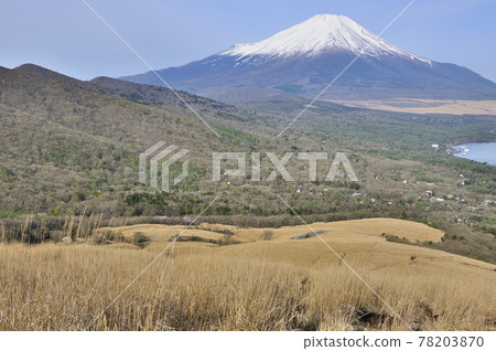 從明神山山頂看春天的富士山 從明神山山頂看春天的富士山 78203870