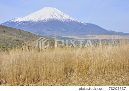 View of Mt. Fuji from Myojinyama in Kayatohara 78203887