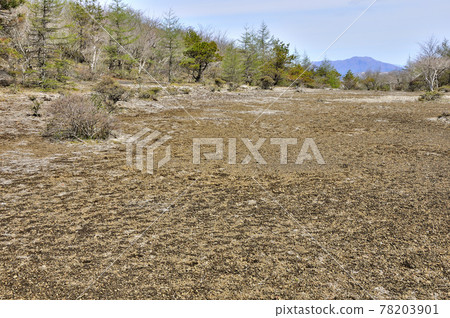 Mikuni Ridge: View of Mitsutogeyama far from Azamidaira Mikuni Ridge: View of Mitsutogeyama far from Azamidaira 78203901