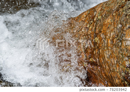 Splashes Splashes 78203942