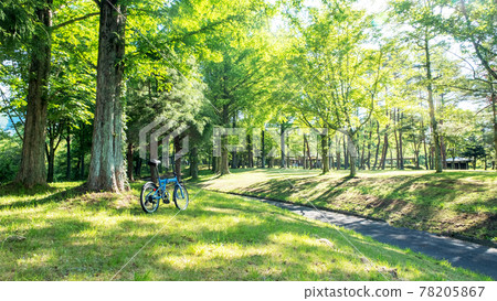Hiruzen Plateau: Image of fresh green and early summer cycling 78205867