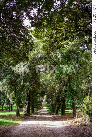 "Avenue of Dolls" leading to "Fountain of the Puppets" in Villa Borghese Park in Rome "Avenue of Dolls" leading to "Fountain of the Puppets" in Villa Borghese Park in Rome 78207477