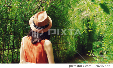 夏天在綠色隧道中行走的女人的背影 78207666