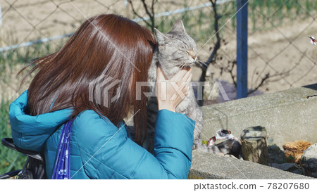 A woman burying her face in the body of a cat she met in Manabe Island, Okayama Prefecture A woman burying her face in the body of a cat she met in Manabe Island, Okayama Prefecture 78207680