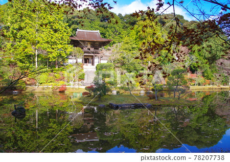 圓成寺塔門（奈良市） 78207738