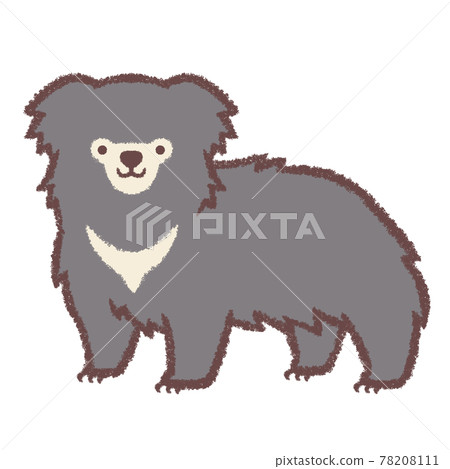 懶熊 78208111