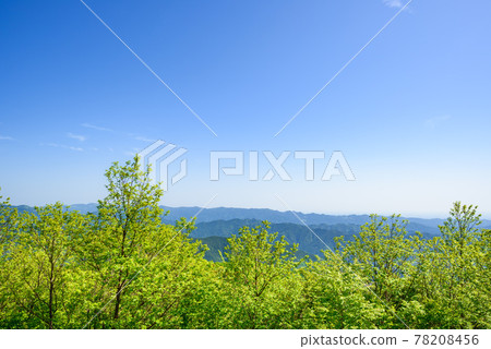 藍天和新鮮的綠樹/山 藍天和新鮮的綠樹/山 78208456