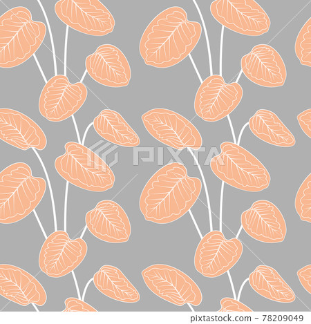 Tropical pink calathea leaves white outline drawing seamless pattern. Gray background. 78209049