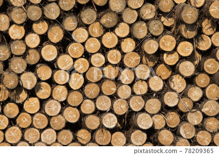 Wood shock. Soaring timber !! Lack of timber. 78209365