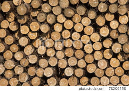 Wood shock. Soaring timber !! Lack of timber. 78209368