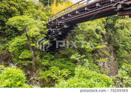 （山梨縣）日本三奇橋猿橋 78209369
