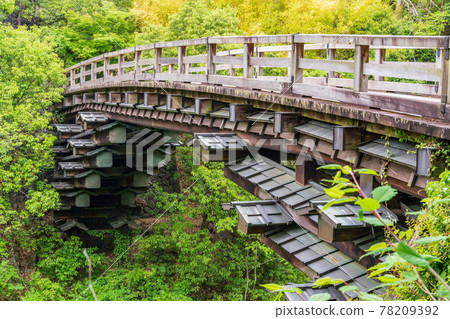 (Yamanashi Prefecture) Japan's Three Bizarre Bridges, Saruhashi 78209392
