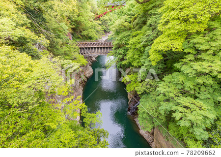 (山梨縣)八澤發電站1號水道橋毗鄰猿橋 (山梨縣)八澤發電站1號水道橋毗鄰猿橋 78209662
