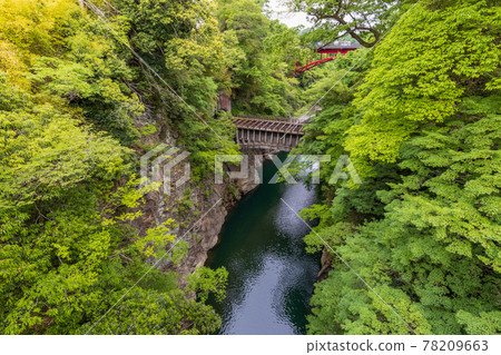 (山梨縣)八澤發電站1號水道橋毗鄰猿橋 (山梨縣)八澤發電站1號水道橋毗鄰猿橋 78209663