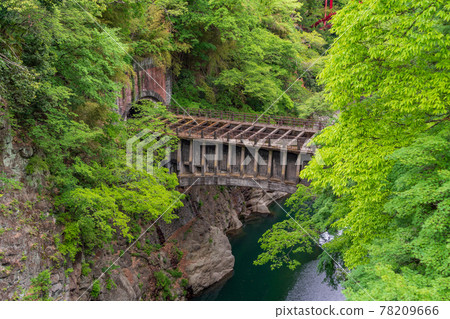 (山梨縣)八澤發電站1號水道橋毗鄰猿橋 (山梨縣)八澤發電站1號水道橋毗鄰猿橋 78209666