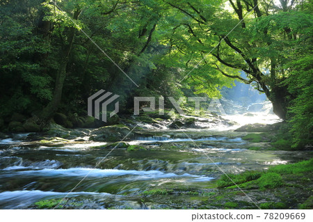 初夏的菊池谷 初夏的菊池谷 78209669