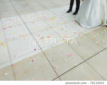 婚禮新娘和新郎花灑 婚禮新娘和新郎花灑 78210041