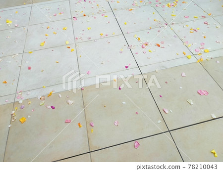 花淋浴花瓣 花淋浴花瓣 78210043