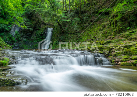 Akame 48 Waterfalls in Nabari City, Mie Prefecture Five Waterfalls "Biwa Falls" 78210968