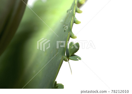 兒童寶藏 78212010