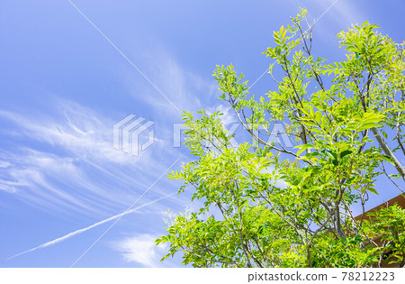 蔚藍的天空和島織子 蔚藍的天空和島織子 78212223
