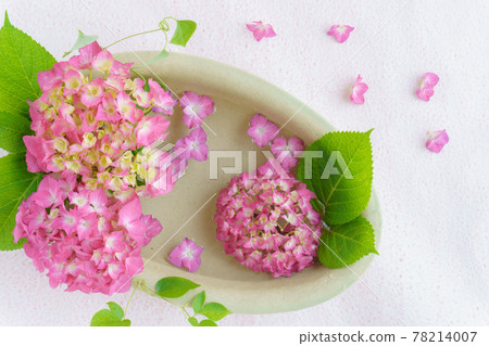Arrangement of pink hydrangea 78214007