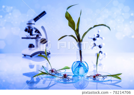 Laboratory glassware, plant laboratory experimental 78214706