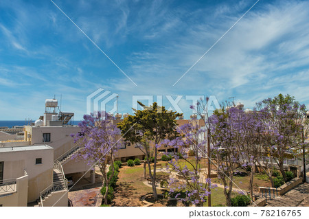Cityscape with small garden in Ayia Napa, Cyprus. 78216765