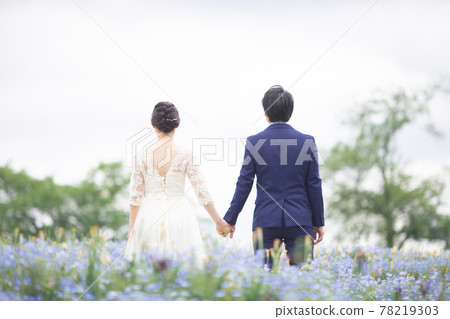Couple holding hands in the nemophila field Couple holding hands in the nemophila field 78219303