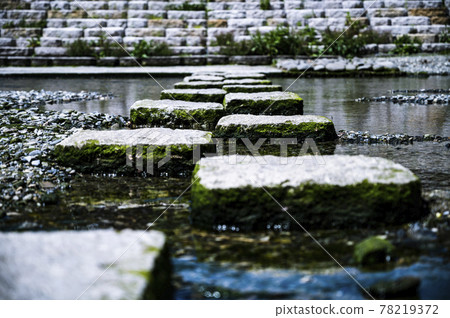 流的墊腳石 78219372