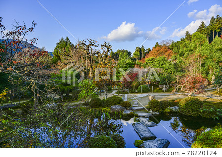 秋色的魚山大原寺、直光院、原梨學院花園 秋色的魚山大原寺、直光院、原梨學院花園 78220124