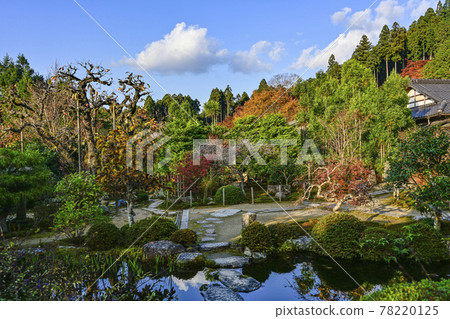 秋色的魚山大原寺、直光院、原梨學院花園 78220125