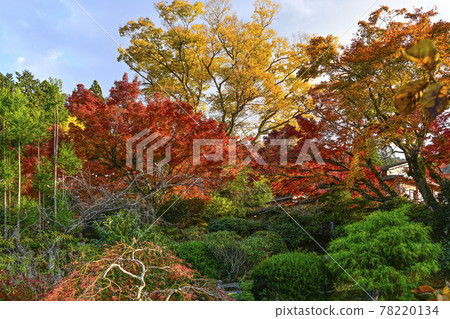 Uoyama Oharaji Temple in autumn colors, Jikkoin Temple, former Rigakuin Garden Uoyama Oharaji Temple in autumn colors, Jikkoin Temple, former Rigakuin Garden 78220134