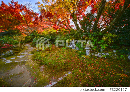 Uoyama Oharaji Temple in autumn colors, Jikkoin Temple, former Rigakuin Garden Uoyama Oharaji Temple in autumn colors, Jikkoin Temple, former Rigakuin Garden 78220137