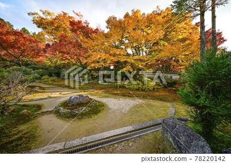 秋色的魚山大原寺、直光院、原梨學院花園 78220142