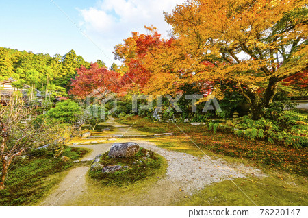 秋色的魚山大原寺、直光院、原梨學院花園 78220147
