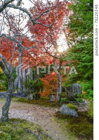 Uoyama Oharaji Temple in autumn colors, Jikkoin Temple, former Rigakuin Garden Uoyama Oharaji Temple in autumn colors, Jikkoin Temple, former Rigakuin Garden 78220148