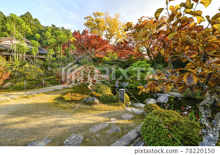 Uoyama Oharaji Temple in autumn colors, Jikkoin Temple, former Rigakuin Garden Uoyama Oharaji Temple in autumn colors, Jikkoin Temple, former Rigakuin Garden 78220150