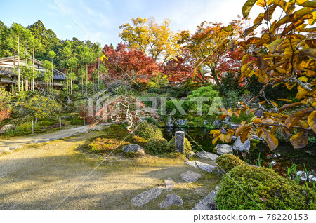 秋色的魚山大原寺、直光院、原梨學院花園 秋色的魚山大原寺、直光院、原梨學院花園 78220153