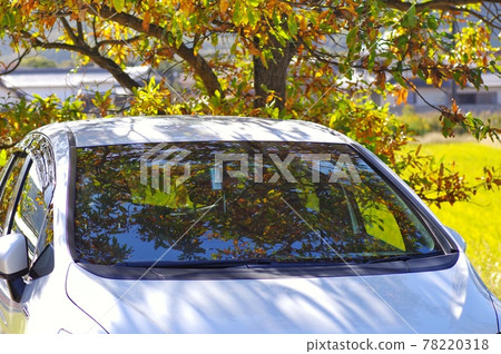 汽車和秋天的氣氛 汽車和秋天的氣氛 78220318