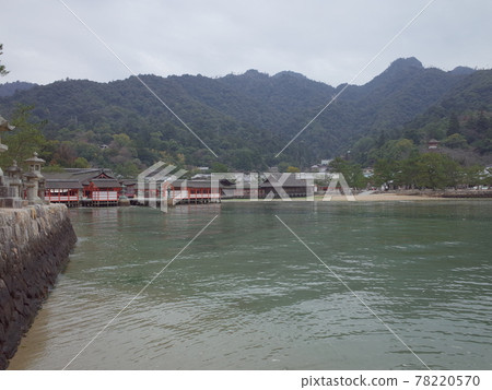 嚴島神社全景_安藝宮島 嚴島神社全景_安藝宮島 78220570