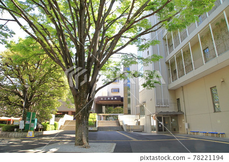 Komae City Hall Komae City Komae City Hall Komae City 78221194
