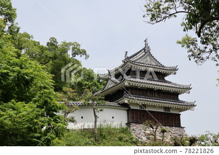 Honmaru Yutora Tower in Nishio City Historical Park (Nishio City, Aichi Prefecture) 78221826