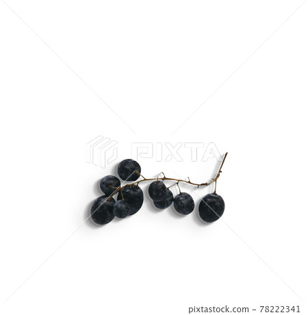 Close up view of fresh dark purple grapes isolated on white background. added copy space for text. Close up view of fresh dark purple grapes isolated on white background. added copy space for text. 78222341